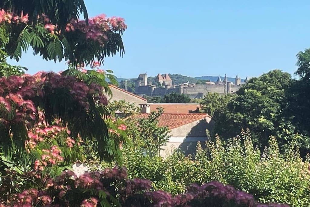 Villa Tamaris Carcassonne Exteriér fotografie